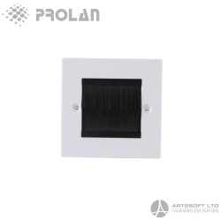 PROLAN 2 Port Face Plate with brushes (UK)